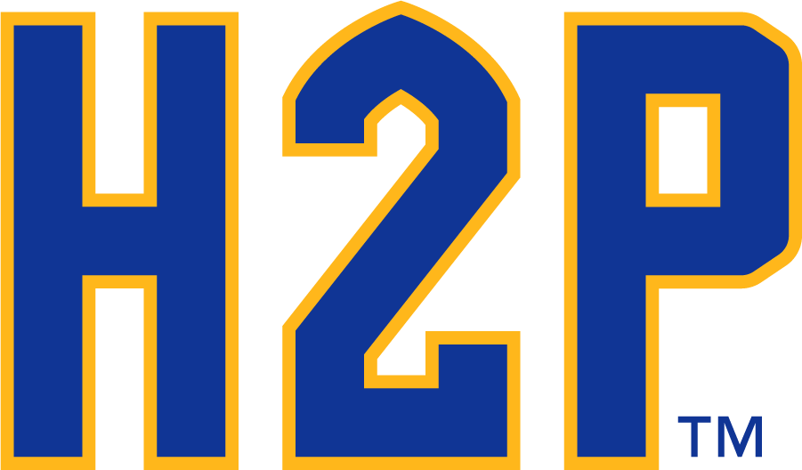 Pittsburgh Panthers 2019-Pres Wordmark Logo diy iron on heat transfer